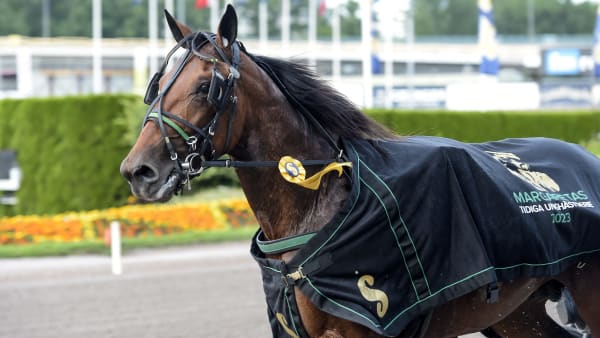 Foto: LARS JAKOBSSON / TR BILD