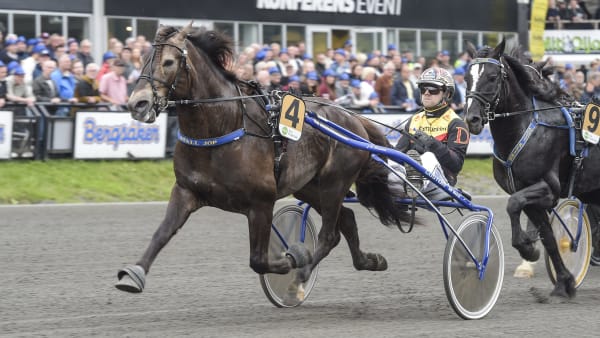 Foto: LARS JAKOBSSON / TR BILD