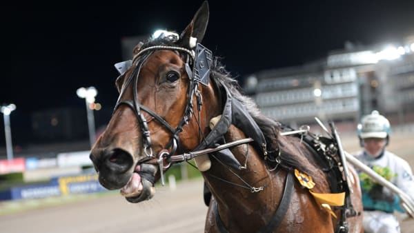 Foto: LARS JAKOBSSON / TR BILD