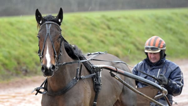 Foto: LARS JAKOBSSON / TR BILD