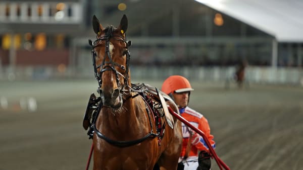 Foto: MATILDA ÖHRMAN / TR BILD