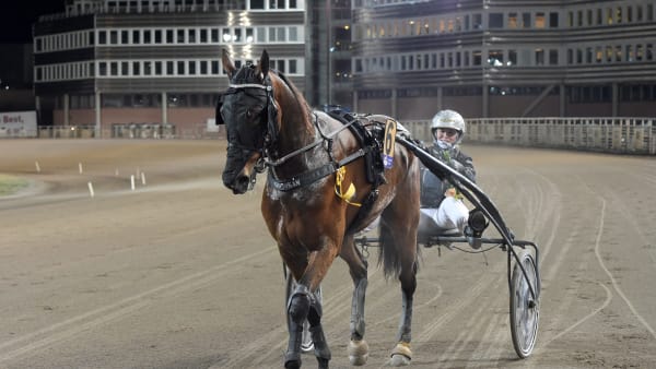 Foto: LARS JAKOBSSON/TR BILD