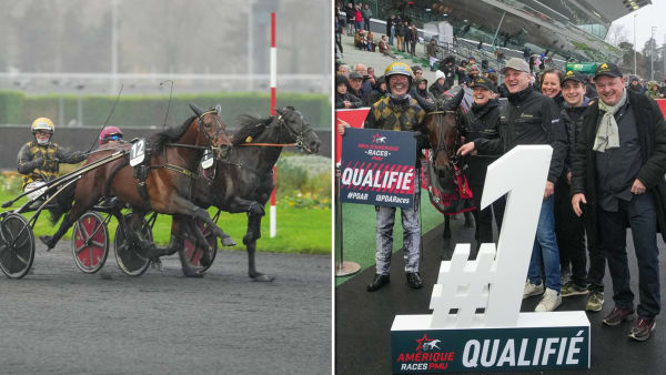 Foto: THOMAS BLOMQVIST/TR BILD