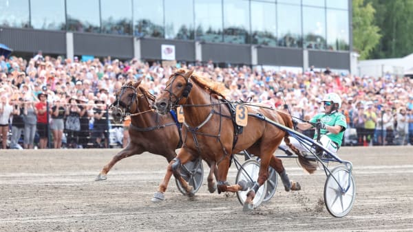 Foto: Maisa Hyttinen/Suomen Hippos