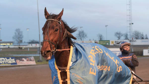 Foto: LARS JAKOBSSON / TR BILD
