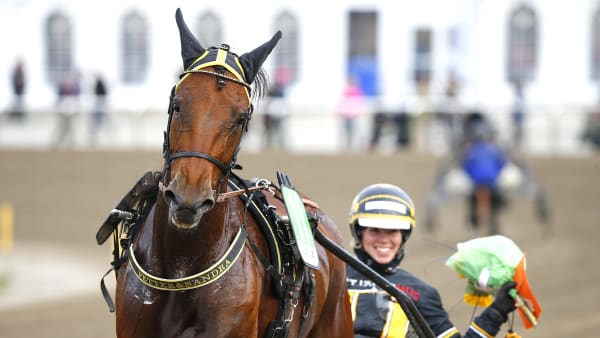 Foto: MICKE GUSTAFSSON / TR BILD