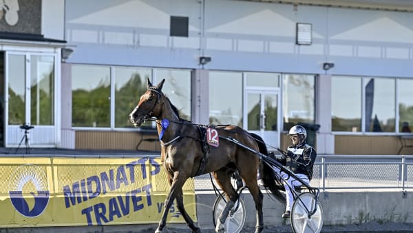 Foto: JENNY REHNMAN / TR BILD
