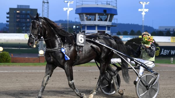 Foto: MALIN ALBINSSON / TR BILD