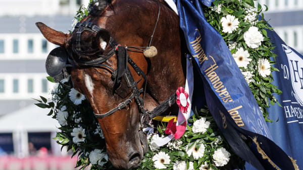 Foto: LENA EMMOTH / TR BILD