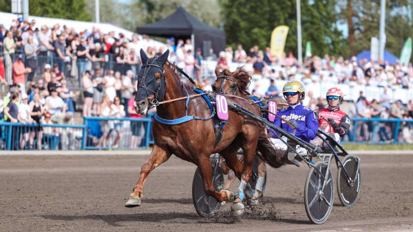 Foto: Maisa Hyttinen/Suomen Hippos.