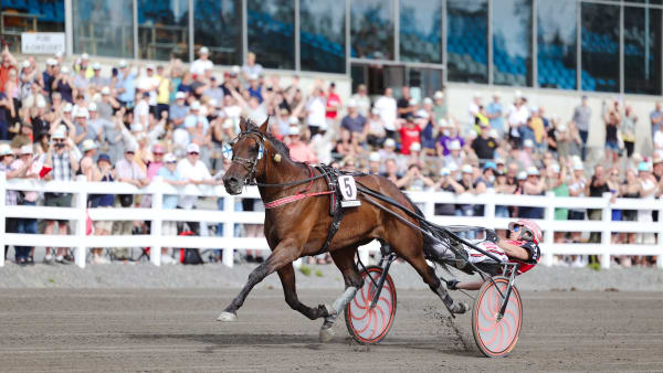 Foto: Kuvaaja Maisa Hyttinen/Suomen Hippos