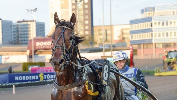 Foto: LARS JAKOBSSON / TR BILD