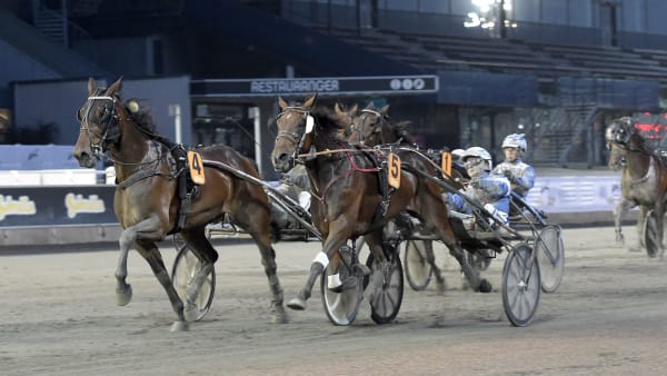 Foto: LARS JAKOBSSON / TR BILD