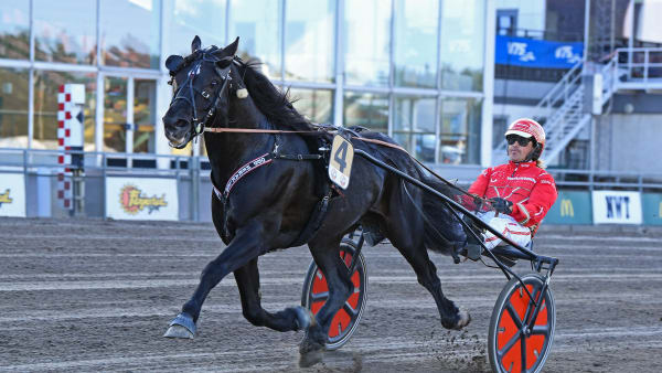 Foto: MALIN ALBINSSON / TR BILD