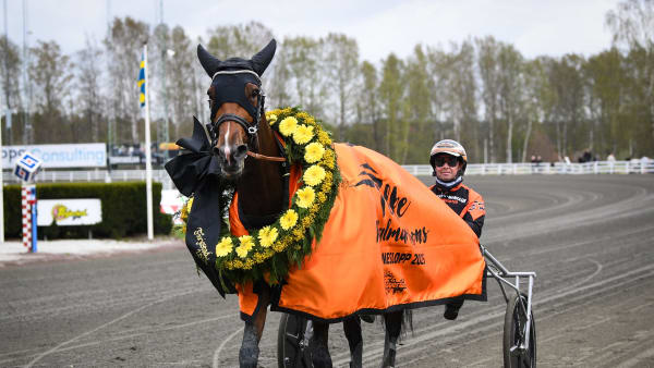 Foto: MALIN ALBINSSON / TR BILD
