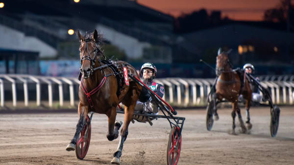 Foto: MIKAEL ROSENQUIST / TR BILD