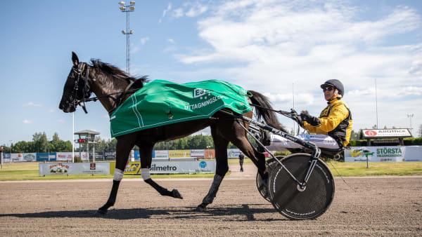 Foto: LENA EMMOTH / TR BILD