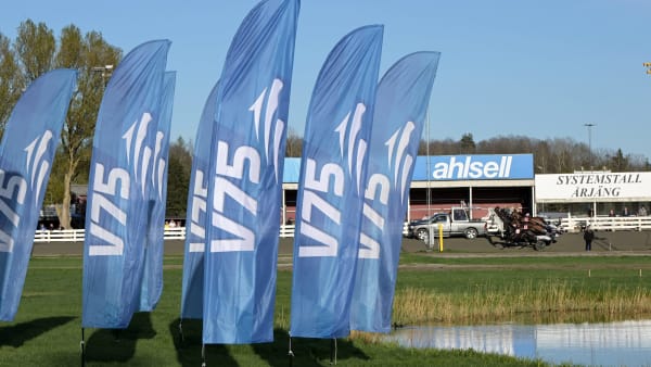 Foto: LARS JAKOBSSON / TR BILD