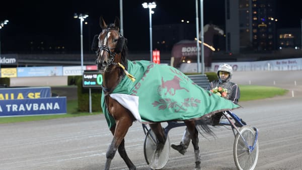 Foto: LARS JAKOBSSON / TR BILD