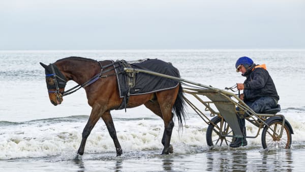 Foto: JEAN-LUC LAMAÈRE/TR BILD