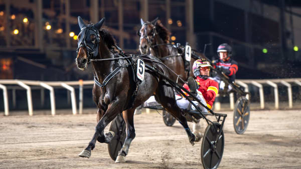 Foto: MIKAEL ROSENQUIST / TR BILD