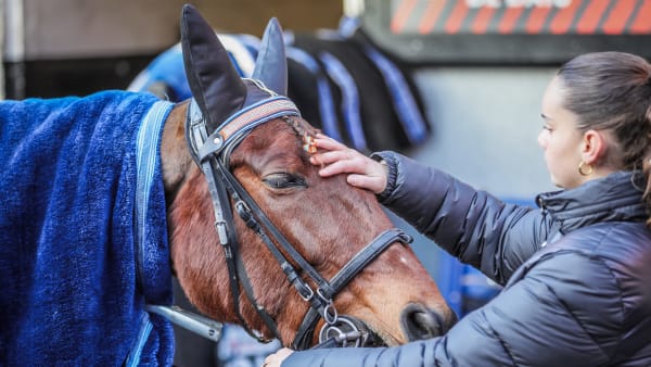 Foto: BRUNO VANDEVELDE/LE TROT