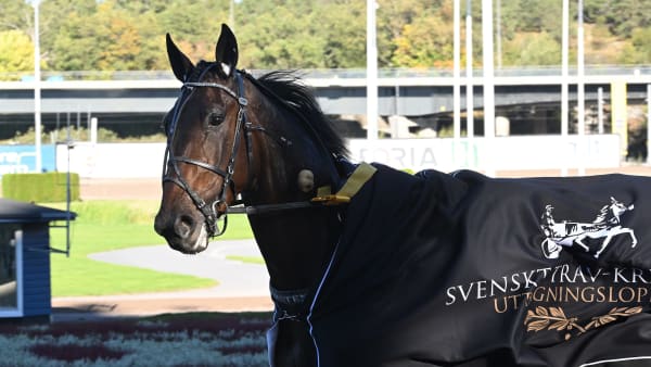 Foto: LARS JAKOBSSON / TR BILD