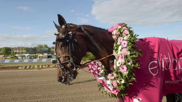 Foto: LARS JAKOBSSON / TR BILD