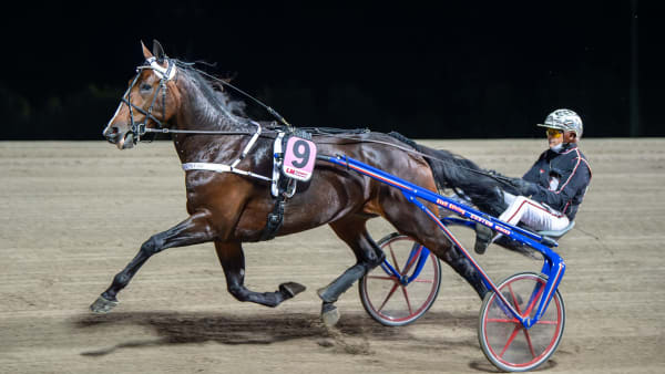 Foto: MIKAEL ROSENQUIST / TR BILD