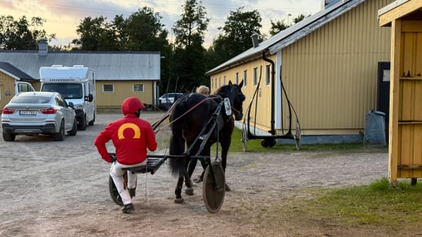 Foto: Rickard Hansson/TR Bild.