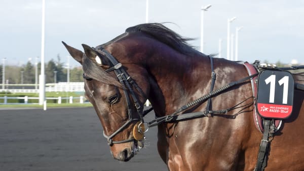 Foto: LARS JAKOBSSON / TR BILD
