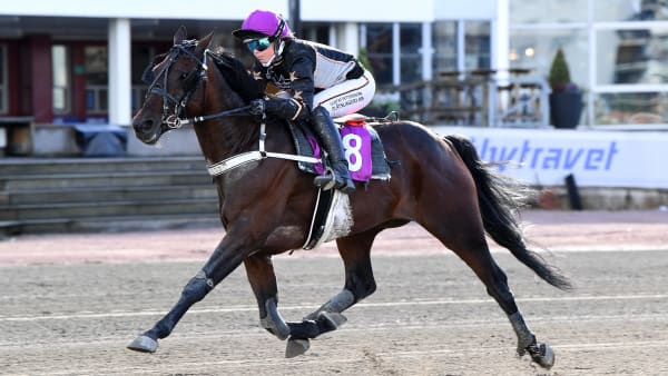 Foto: MALIN ALBINSSON / TR BILD