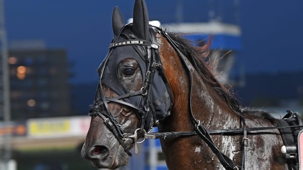 Foto: MALIN ALBINSSON / TR BILD