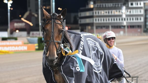 Foto: LARS JAKOBSSON / TR BILD