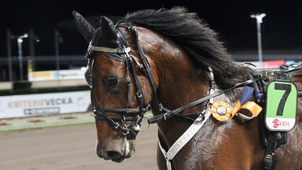 Foto: LARS JAKOBSSON / TR BILD