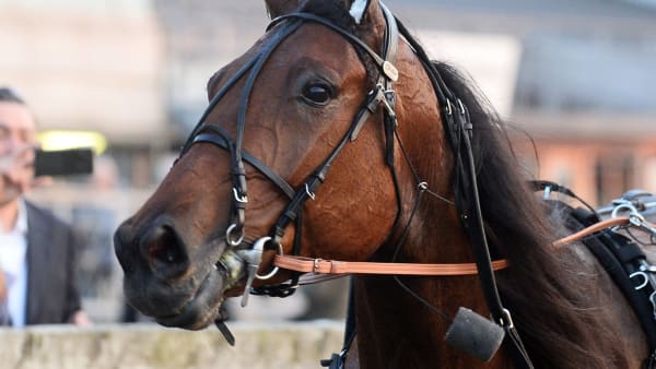 Foto: MALIN ALBINSSON / TR BILD