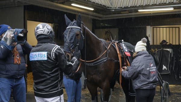 Foto: Jean-Luc Lamaère/LeTrot