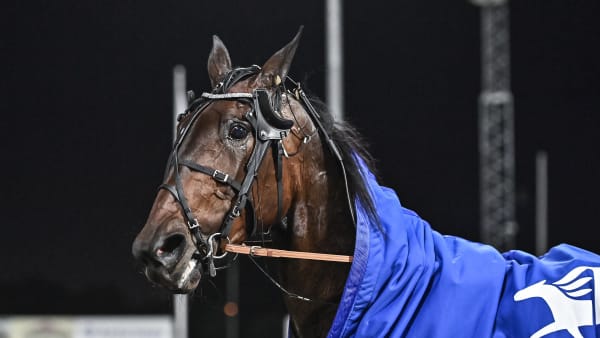 Foto: JENNY REHNMAN / TR BILD