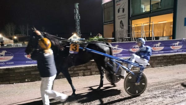 Foto: Lucas Ericsson/TR Bild.