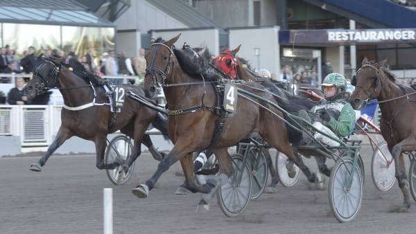 Foto: LARS JAKOBSSON/TR BILD