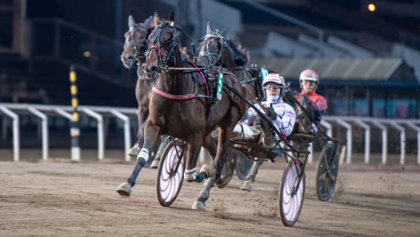 Foto: MIKAEL ROSENQUIST / TR BILD