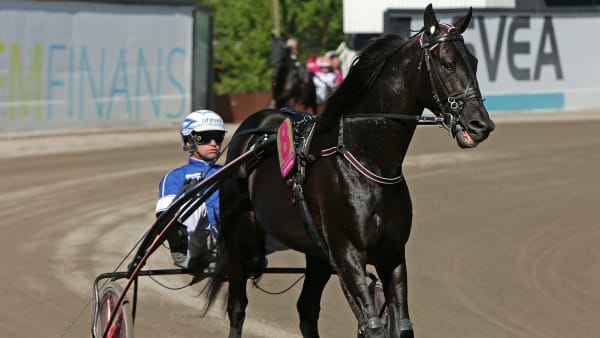 Foto: MATILDA ÖHRMAN / TR BILD