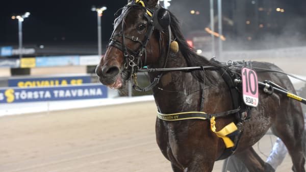 Foto: LARS JAKOBSSON / TR BILD