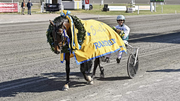 Foto: JENNY REHNMAN / TR BILD