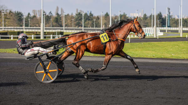 Foto: Bruno Vandevelde - Le Trot