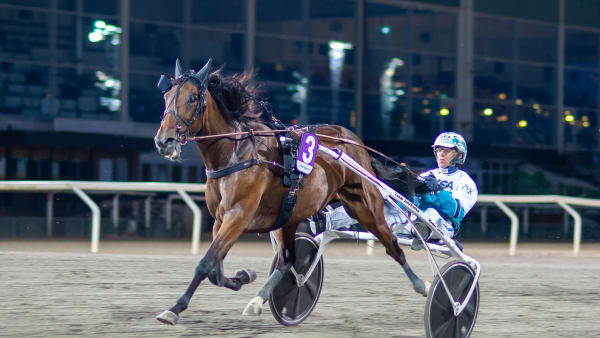 Foto: MIKAEL ROSENQUIST / TR BILD