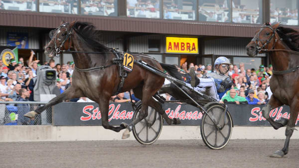 Foto: MALIN ALBINSSON / TR BILD