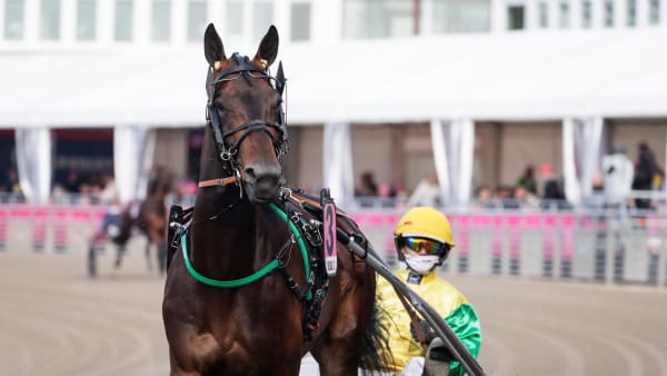 Foto: LENA EMMOTH / TR BILD