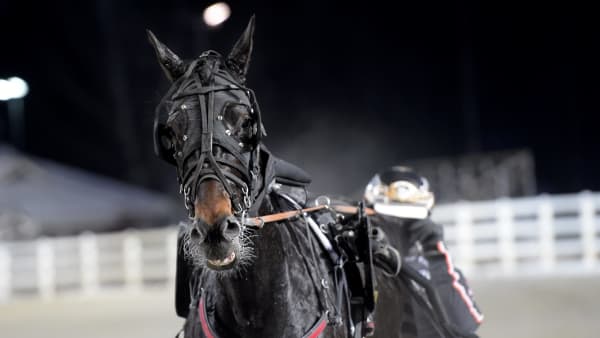 Foto: LARS JAKOBSSON / TR BILD