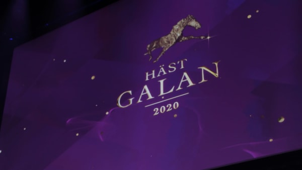 Foto: MARIA HOLMÉN / TR BILD